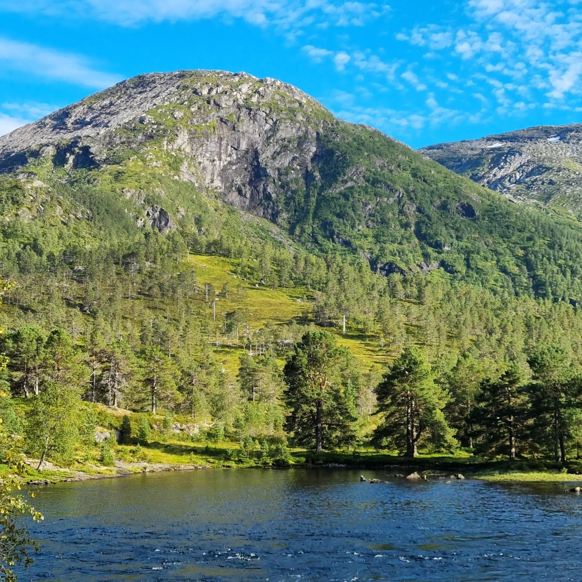 Flatheim Glamping Hotel Viksdalen Exterior photo